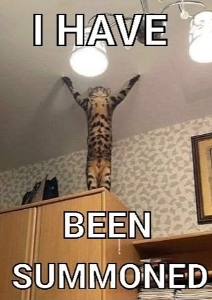 I HAVE BEEN SUMMONED