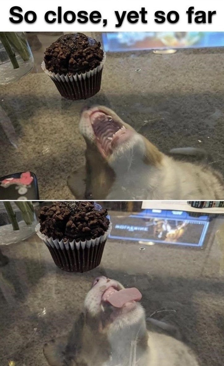 So close, yet so far