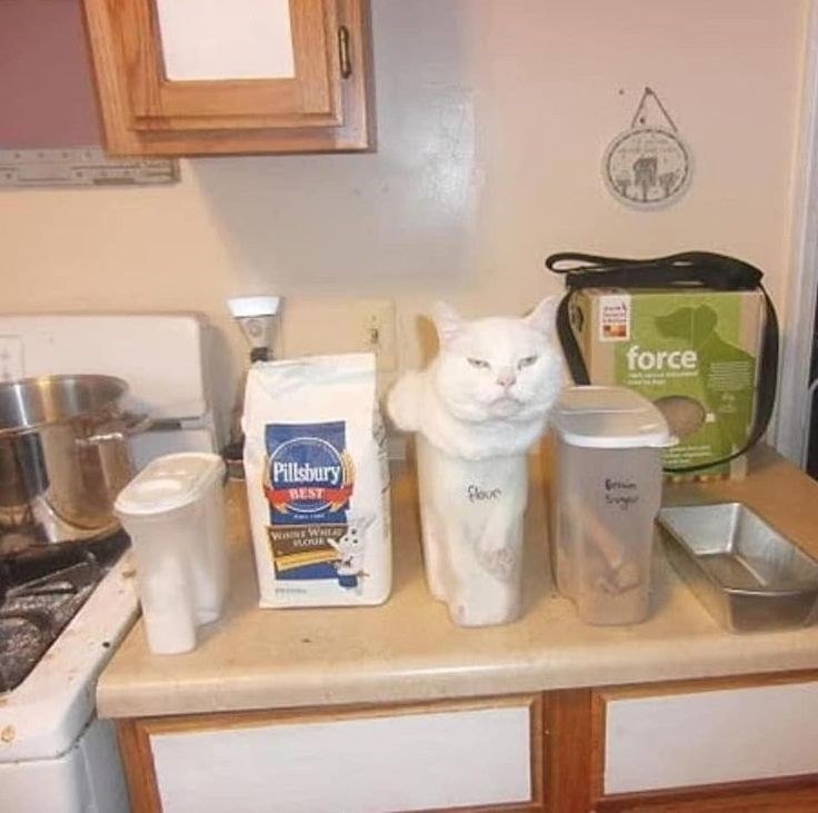 Pillsbury BEST WANE WHED LOUE Flour force