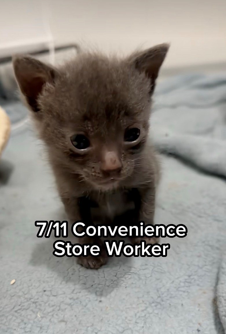 7/11 Convenience Store Worker