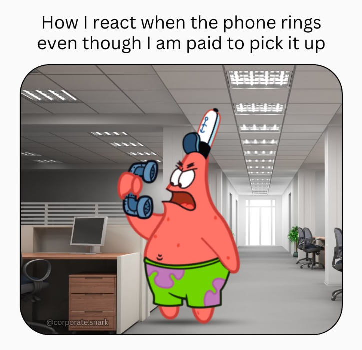 How I react when the phone rings even though I am paid to pick it up 111 @corporate.snark