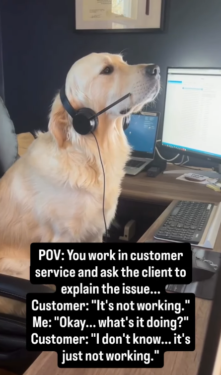 POV: You work in customer service and ask the client to explain the issue... Customer: "It's not working." Me: "Okay... what's it doing?" Customer: "I don't know... it's just not working."