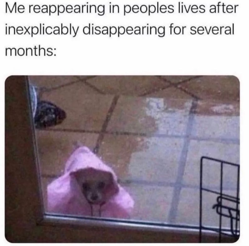 Me reappearing in peoples lives after inexplicably disappearing for several months: