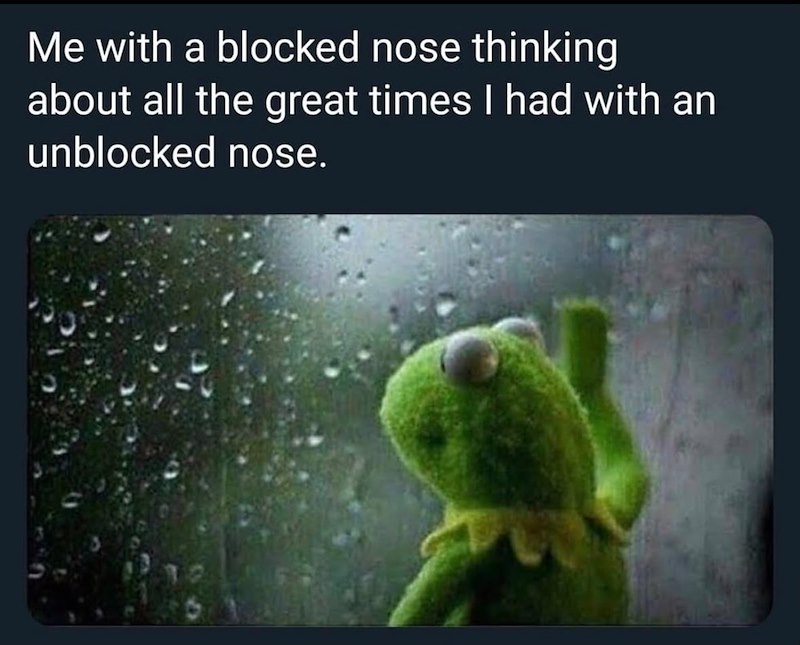 Me with a blocked nose thinking about all the great times I had with an unblocked nose.