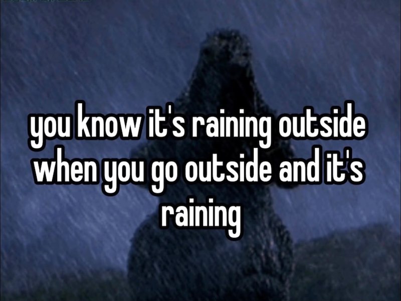you know it's raining outside when you go outside and it's raining