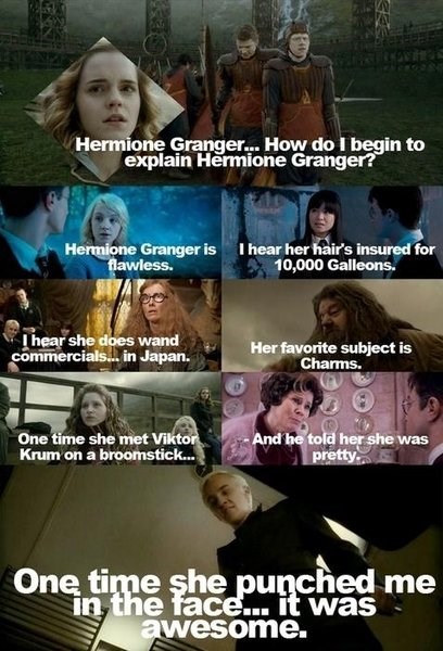 Hermione Granger... How do I begin to explain Hermione Granger? Hermione Granger is I hear her hair's insured for flawless. 10,000 Galleons. I hear she does wand commercials... in Japan. Her favorite subject is Charms. One time she met Viktor Krum on a broomstick... And he told her she was pretty One time she punched me in the face... it was awesome.