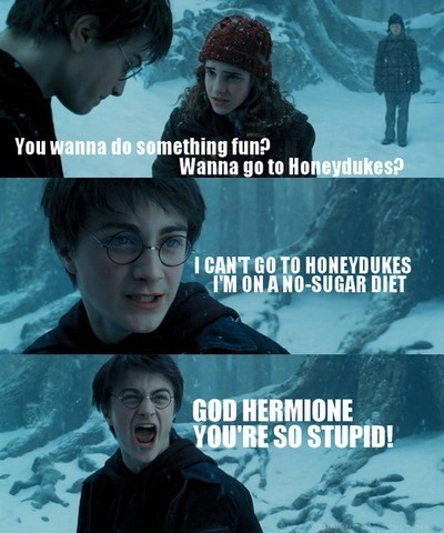 You wanna do something fun? Wanna go to Honeydukes? I CAN'T GO TO HONEYDUKES I'M ON A NO-SUGAR DIET GOD HERMIONE YOU'RE SO STUPID!