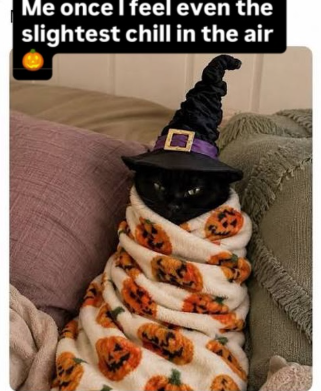 Me once I feel even the slightest chill in the air