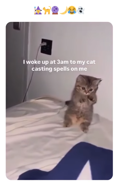 I woke up at 3am to my cat casting spells on me