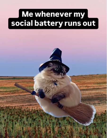 Me whenever my social battery runs out
