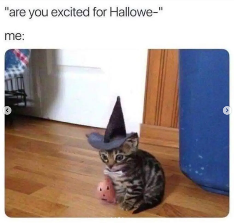 "are you excited for Hallowe-" me:
