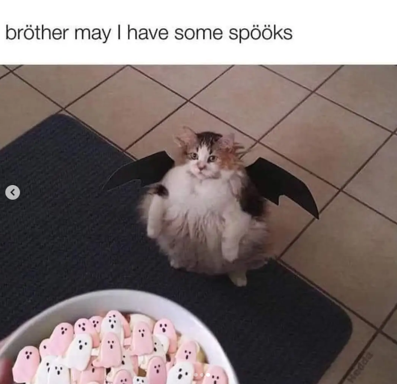 bröther may I have some spööks Hedda