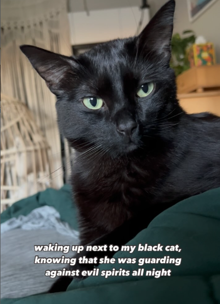 waking up next to my black cat, knowing that she was guarding against evil spirits all night