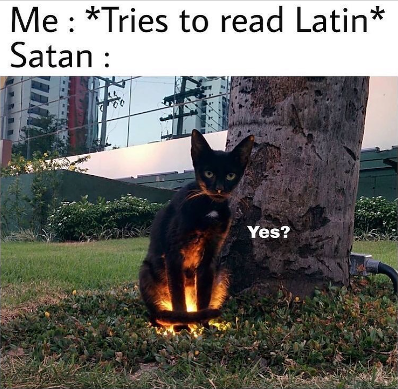 Me: *Tries to read Latin* Satan : Yes?