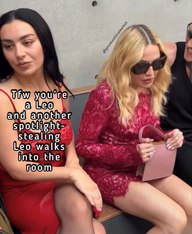 Tfw you're a Leo and another spotlight- stealing Leo walks into the room @youmustlovememes