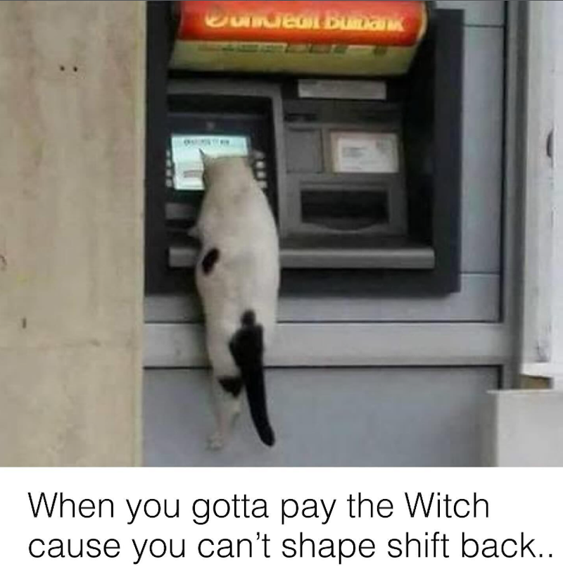 When you gotta pay the Witch cause you can't shape shift back..