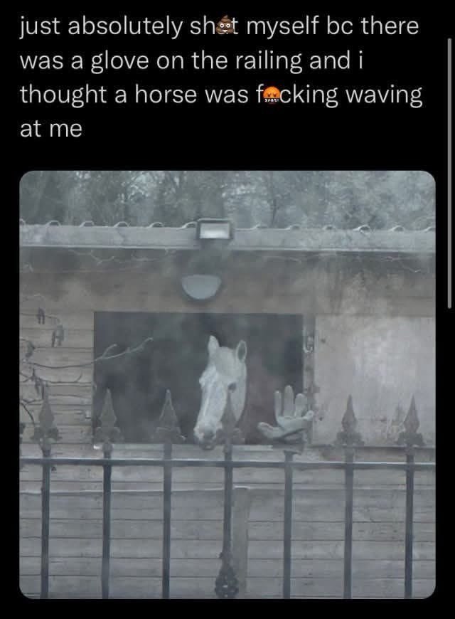 just absolutely shot myself bc there was a glove on the railing and i thought a horse was focking waving at me