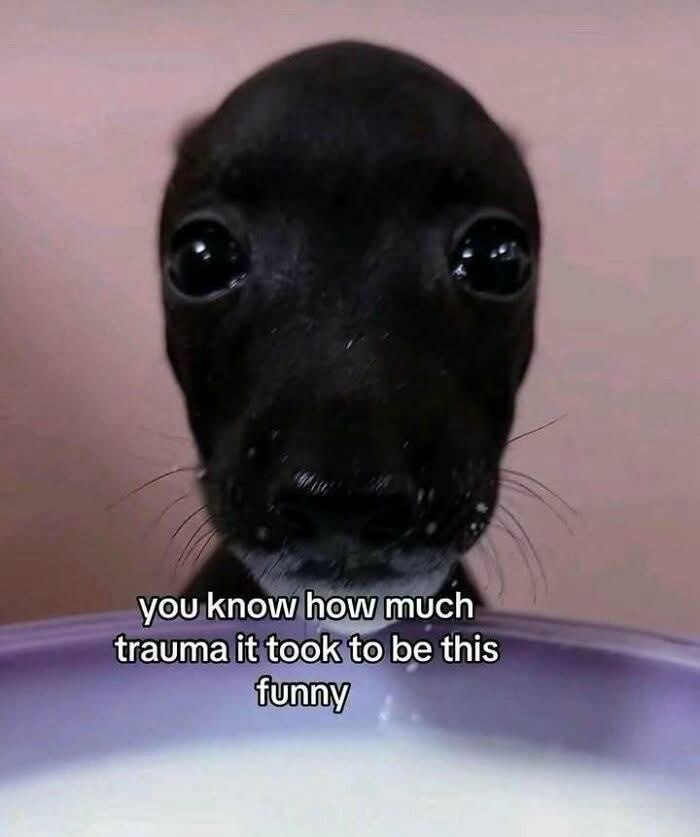you know how much trauma it took to be this funny