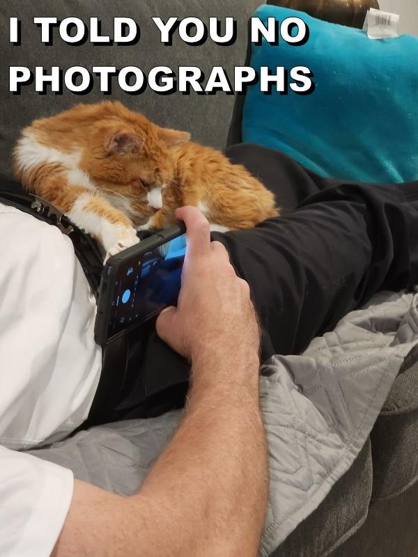 I TOLD YOU NO PHOTOGRAPHS