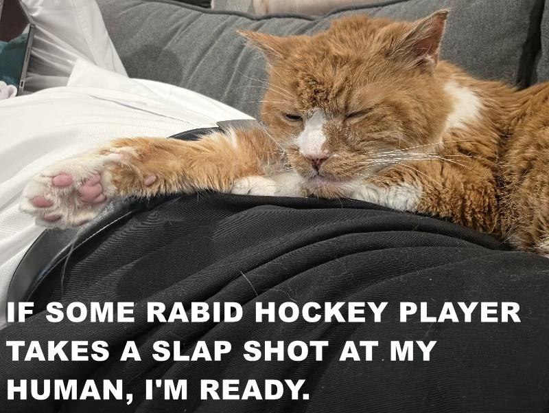 IF SOME RABID HOCKEY PLAYER TAKES A SLAP SHOT AT MY HUMAN, I'M READY.