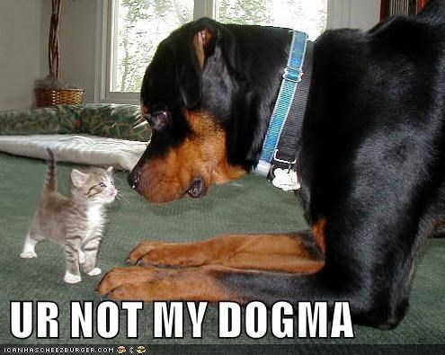 UR NOT MY DOGMA ICANHASCHEEZBURGER.COM