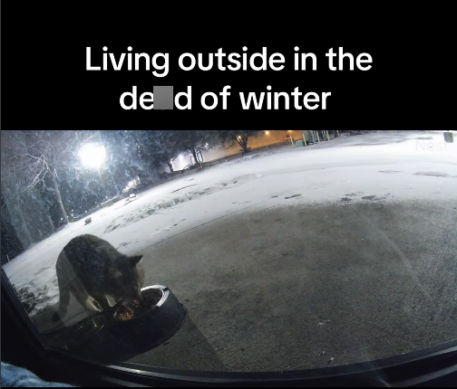 Living outside in the de d of winter