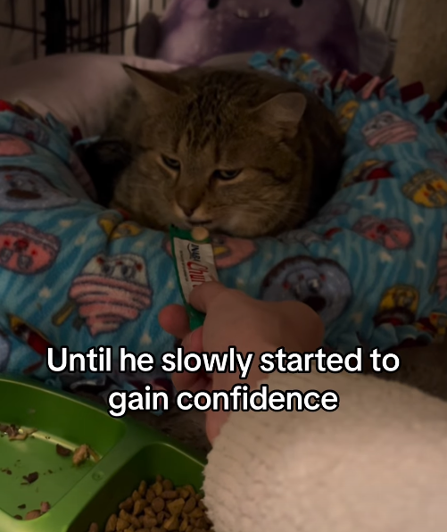 9 Char Until he slowly started to gain confidence