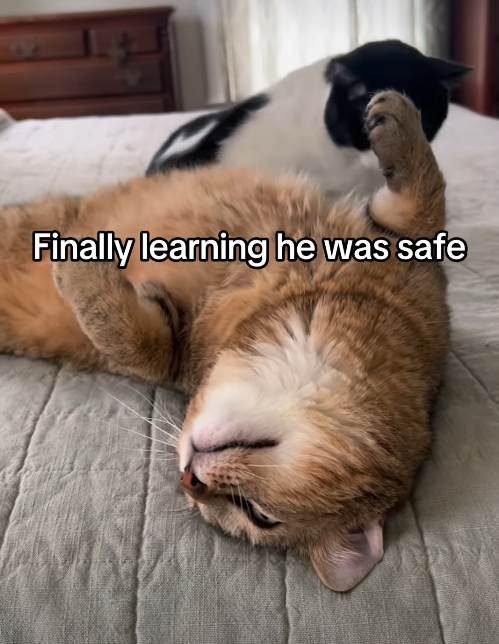 Finally learning he was safe