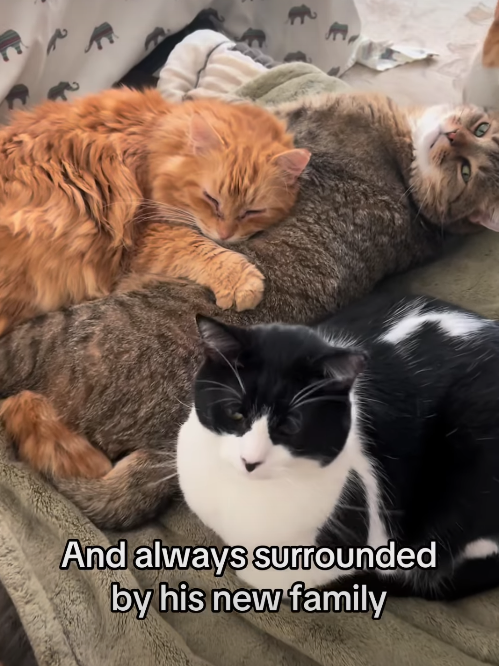 And always surrounded by his new family