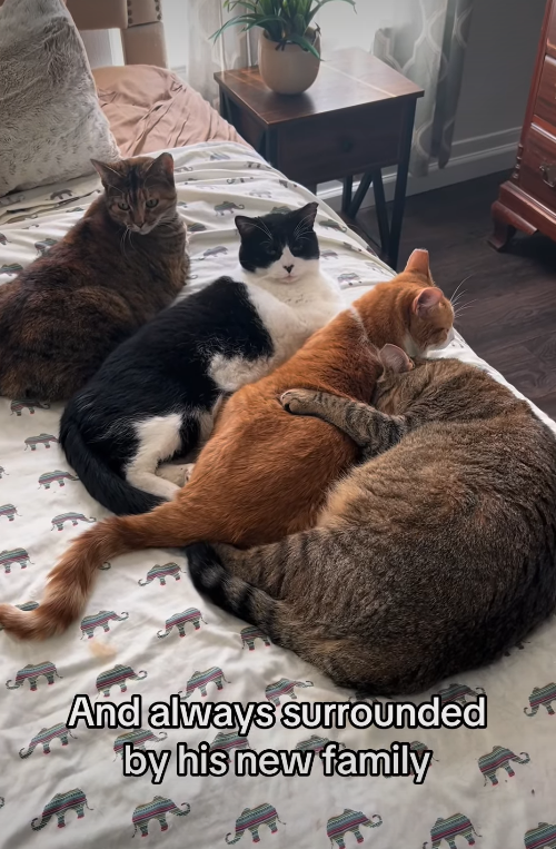 And always surrounded by his new family