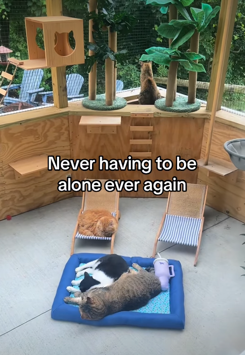 Never having to be alone ever again