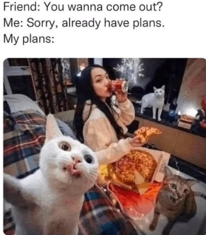 Friend: You wanna come out? Me: Sorry, already have plans. My plans: