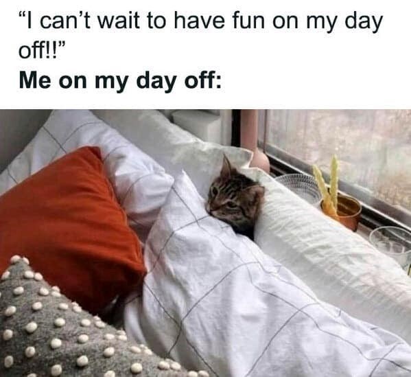 "I can't wait to have fun on my day off!!" Me on my day off: