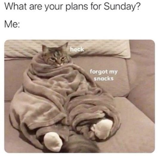 What are your plans for Sunday? Me: heck forgot my snacks