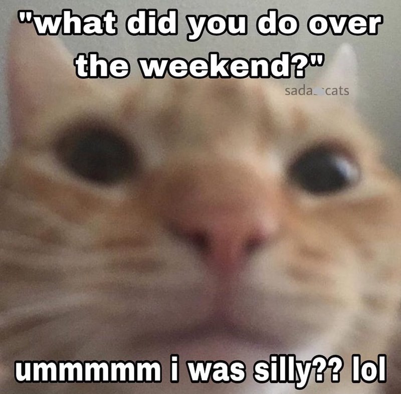 "what did you do over the weekend?" sada cats ummmmm i was silly?? lol