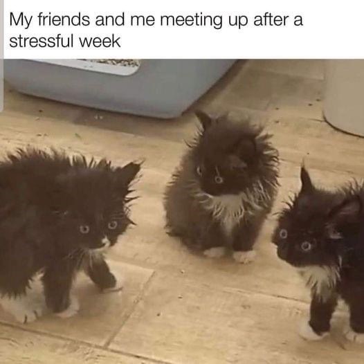 My friends and me meeting up after a stressful week