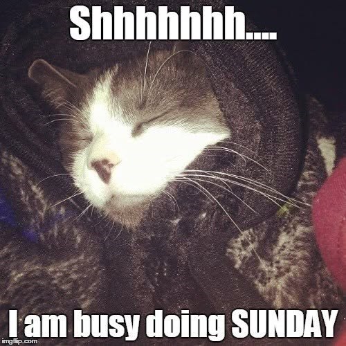Shhhhhhh.... I am busy doing SUNDAY imgflip.com