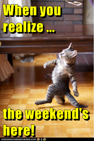 When you realize... the weekend's here! ICANHASCHEEZBURGER.COM