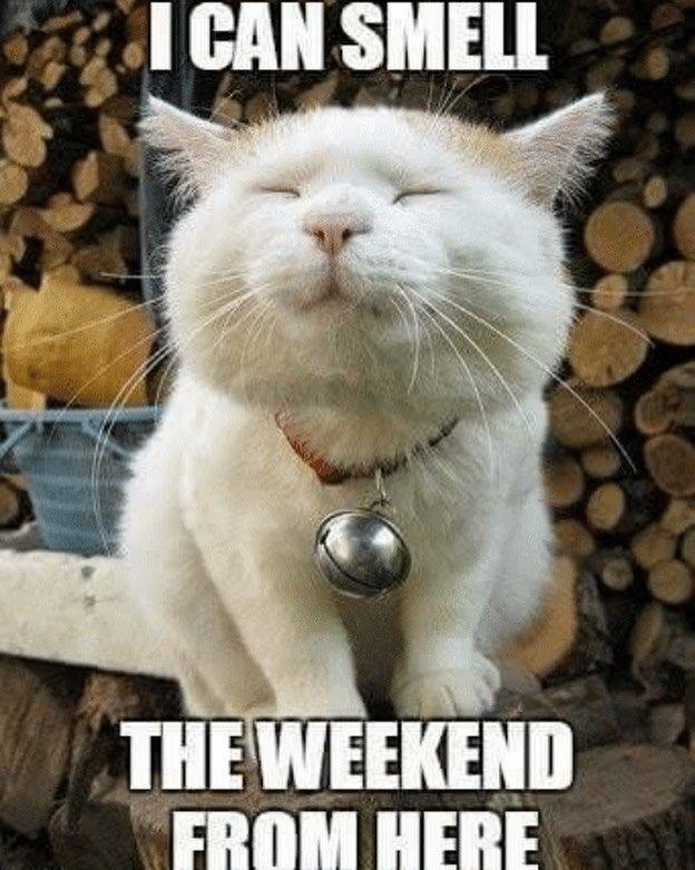 I CAN SMELL THE WEEKEND FROM HERE