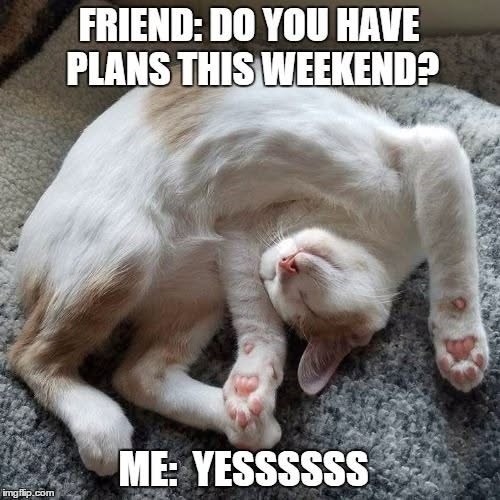FRIEND: DO YOU HAVE PLANS THIS WEEKEND? ME: YESSSSSS imgflip.com