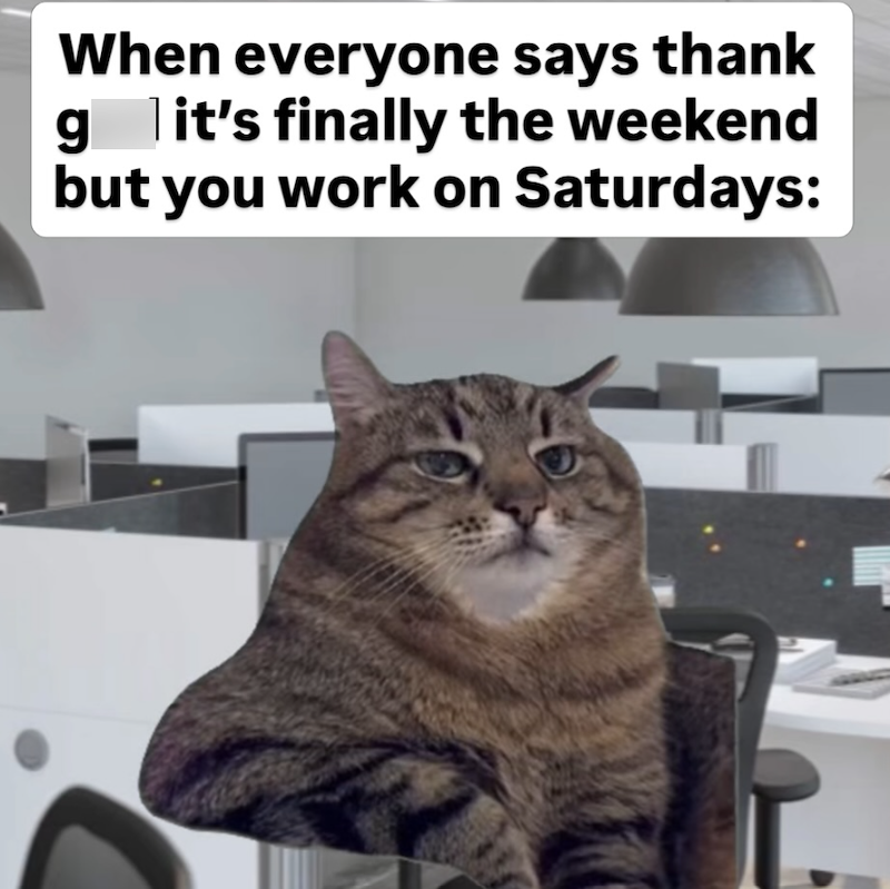 When everyone says thank g it's finally the weekend but you work on Saturdays: