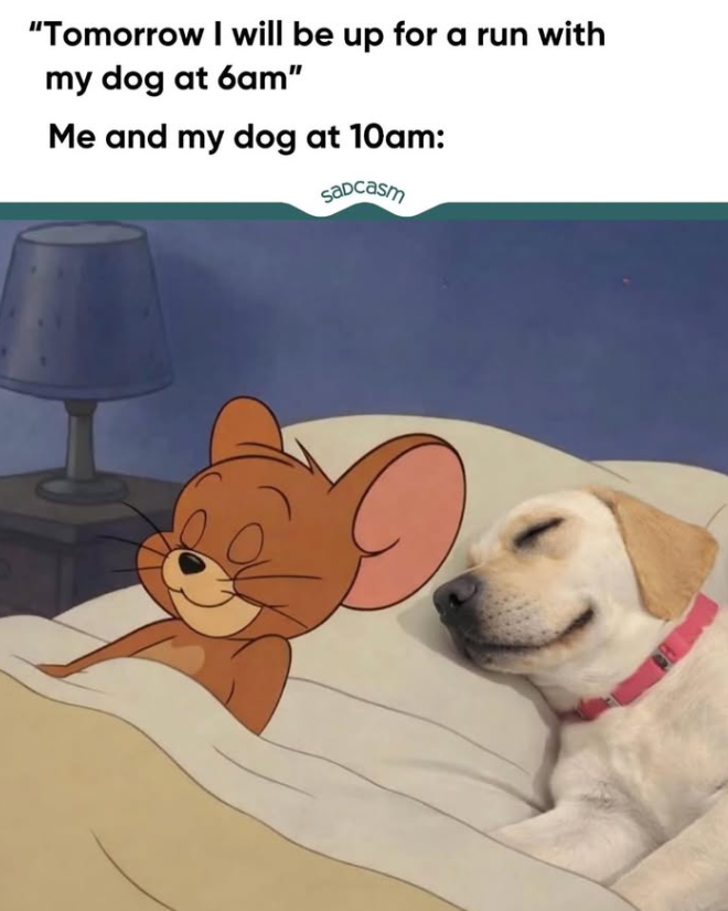 "Tomorrow I will be up for a run with my dog at 6am" Me and my dog at 10am: Sadcasm