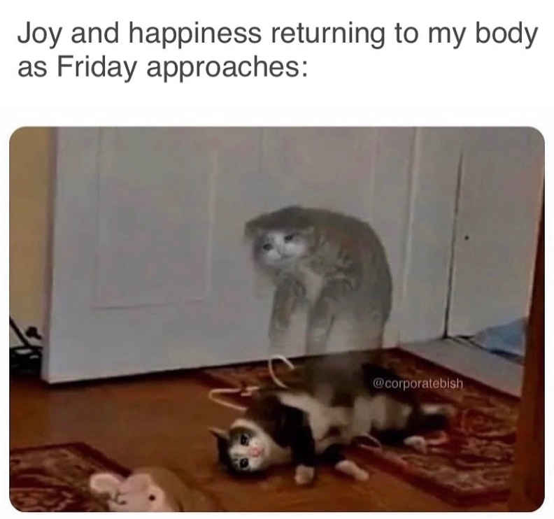 Joy and happiness returning to my body as Friday approaches: @corporatebish