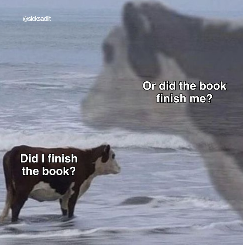 @sicksadlit Did I finish the book? Or did the book finish me?