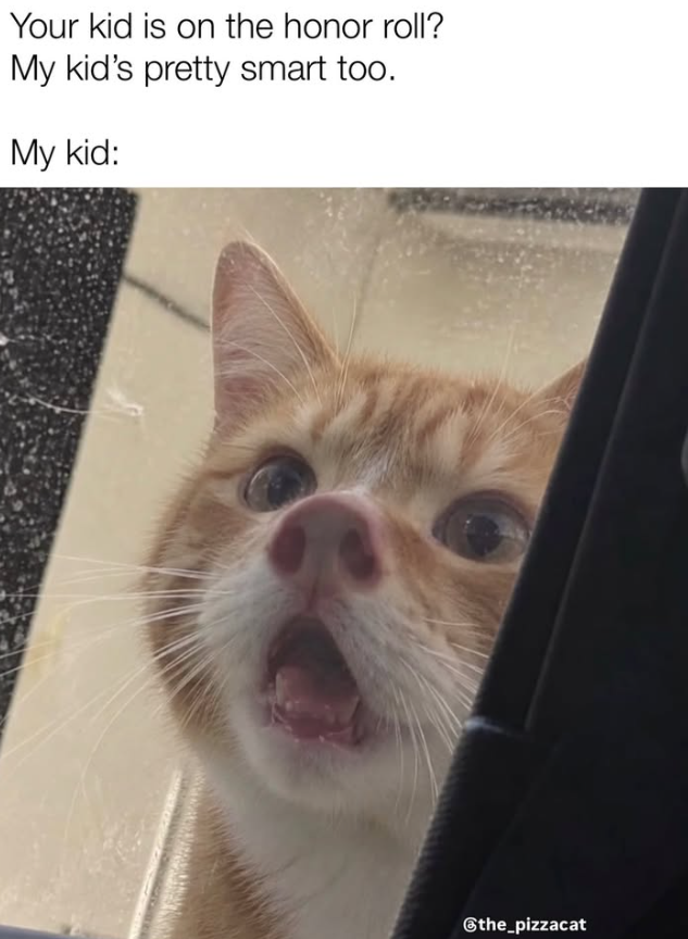 Your kid is on the honor roll? My kid's pretty smart too. My kid: @the_pizzacat