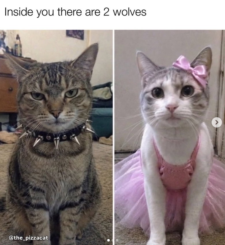 Inside you there are 2 wolves @the_pizzacat >