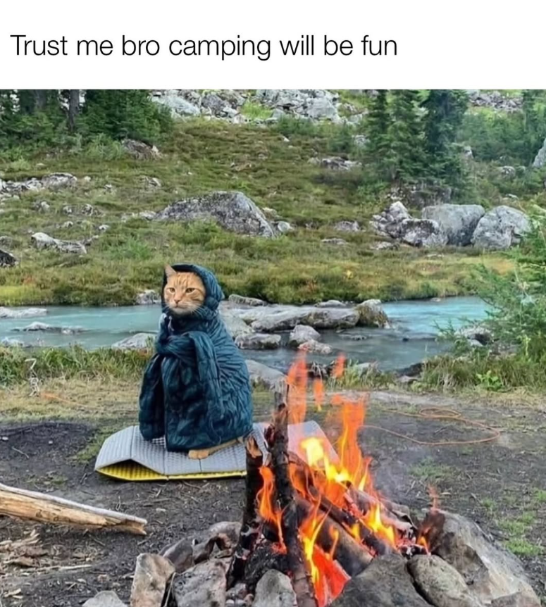 Trust me bro camping will be fun