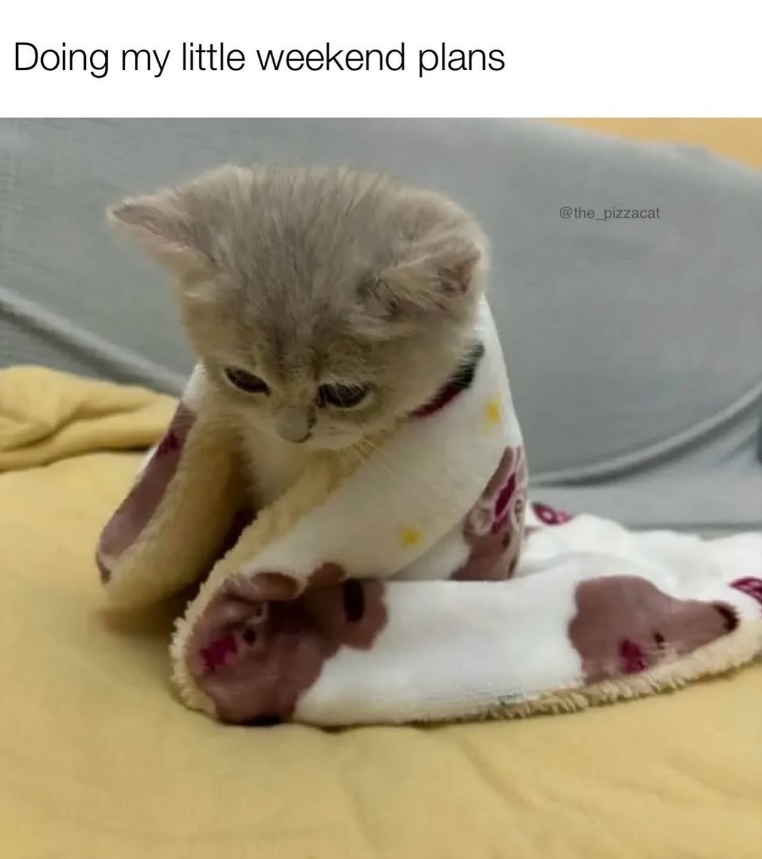 Doing my little weekend plans @the_pizzacat