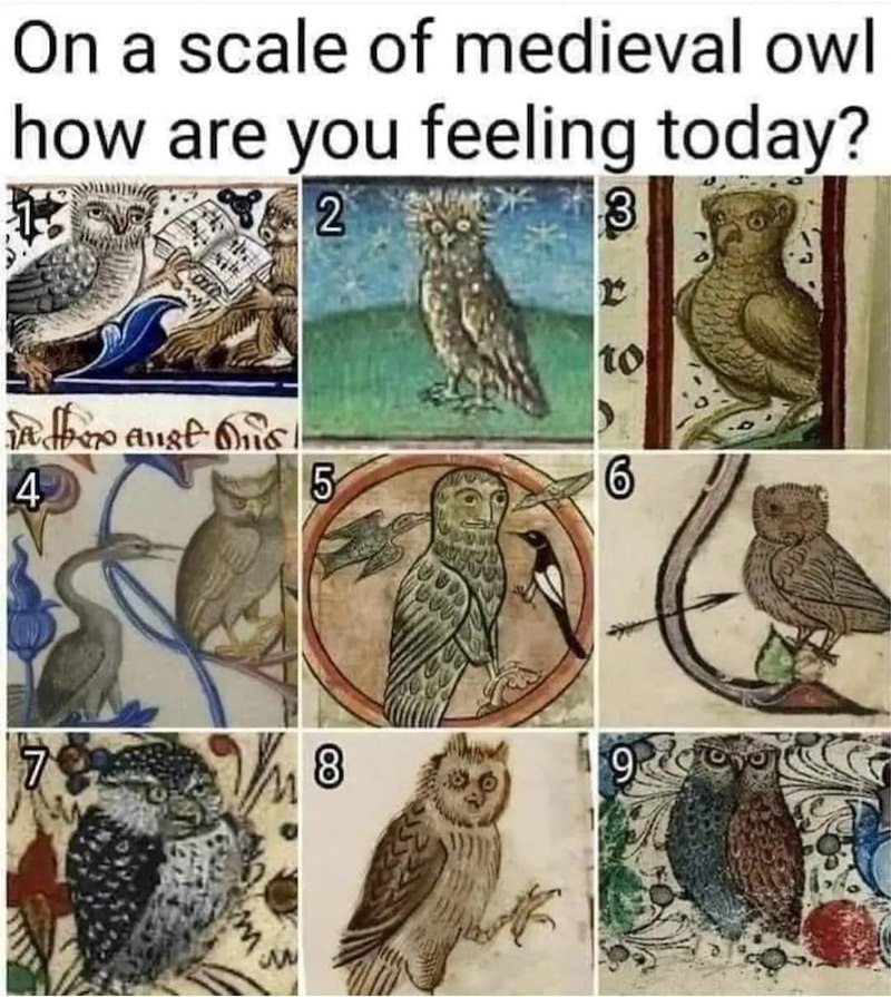 On a scale of medieval owl how are you feeling today? 2 3 to in the aust· Onist 4 5 6 7 8 9 m