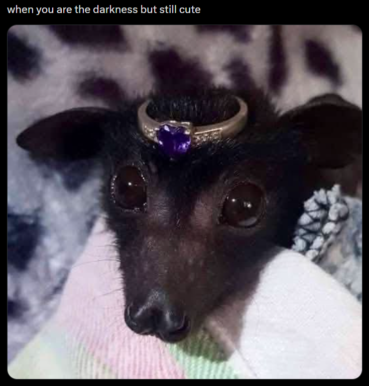 when you are the darkness but still cute